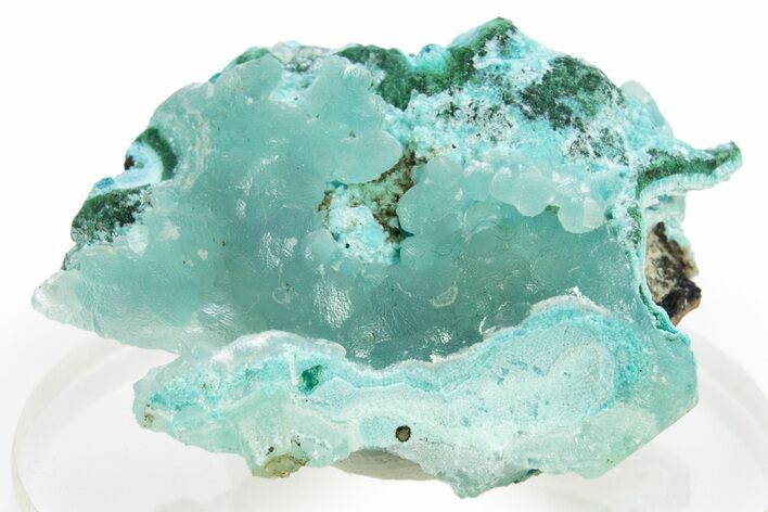 Chatoyant Hemimorphite on Malachite & Chrysocolla - Congo #312461